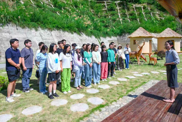 屏幕快照 2023-07-11 下午2.00.06.png